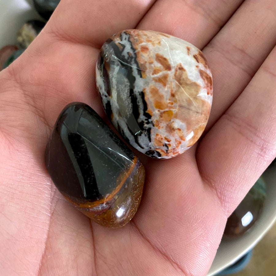 Sardonyx Tumbled from India