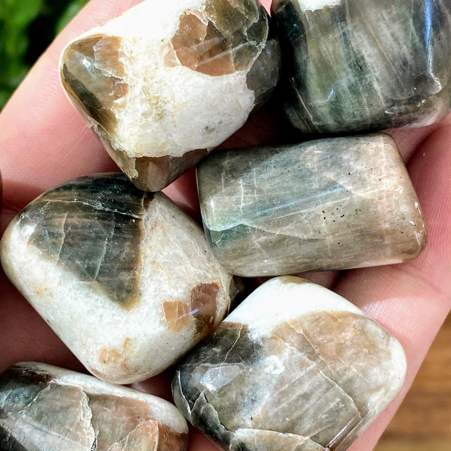 Polarized Moonstone Tumbled Crystals from India