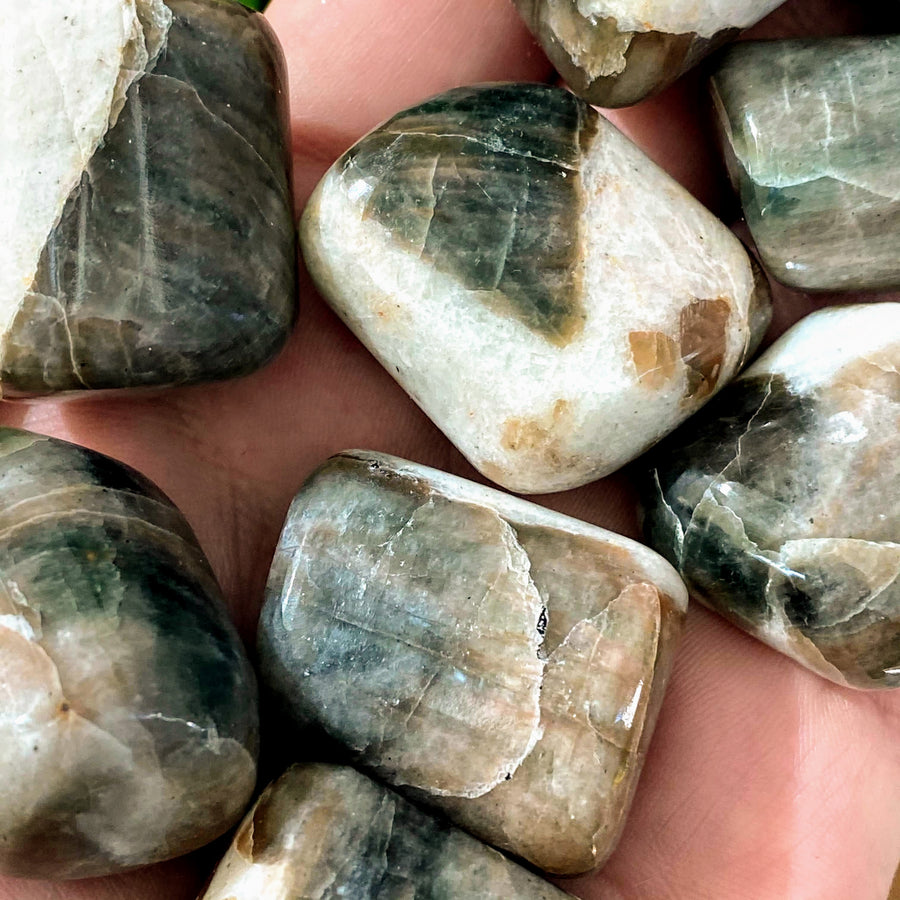 Polarized Moonstone Tumbled Crystals from India