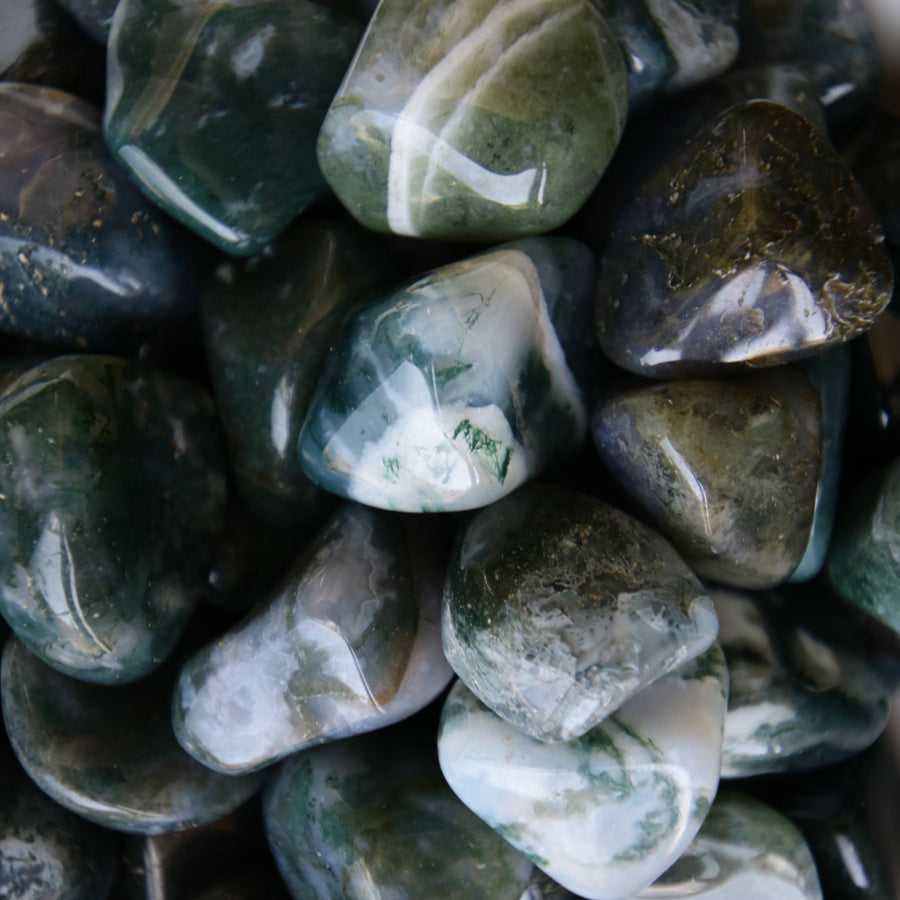 Moss Agate Tumbled Crystals from India