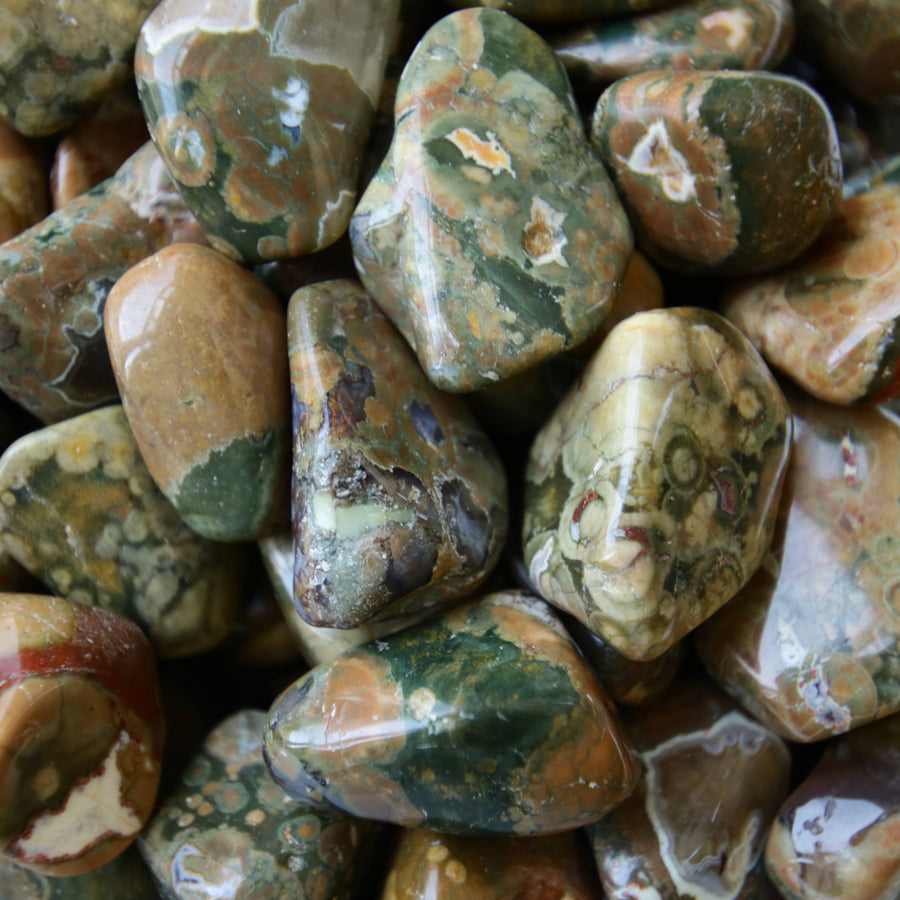 Rain Forest Jasper Tumbled Crystals from Australia