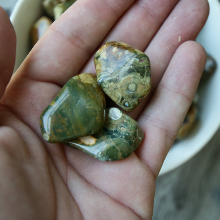 Rain Forest Jasper Tumbled Crystals from Australia