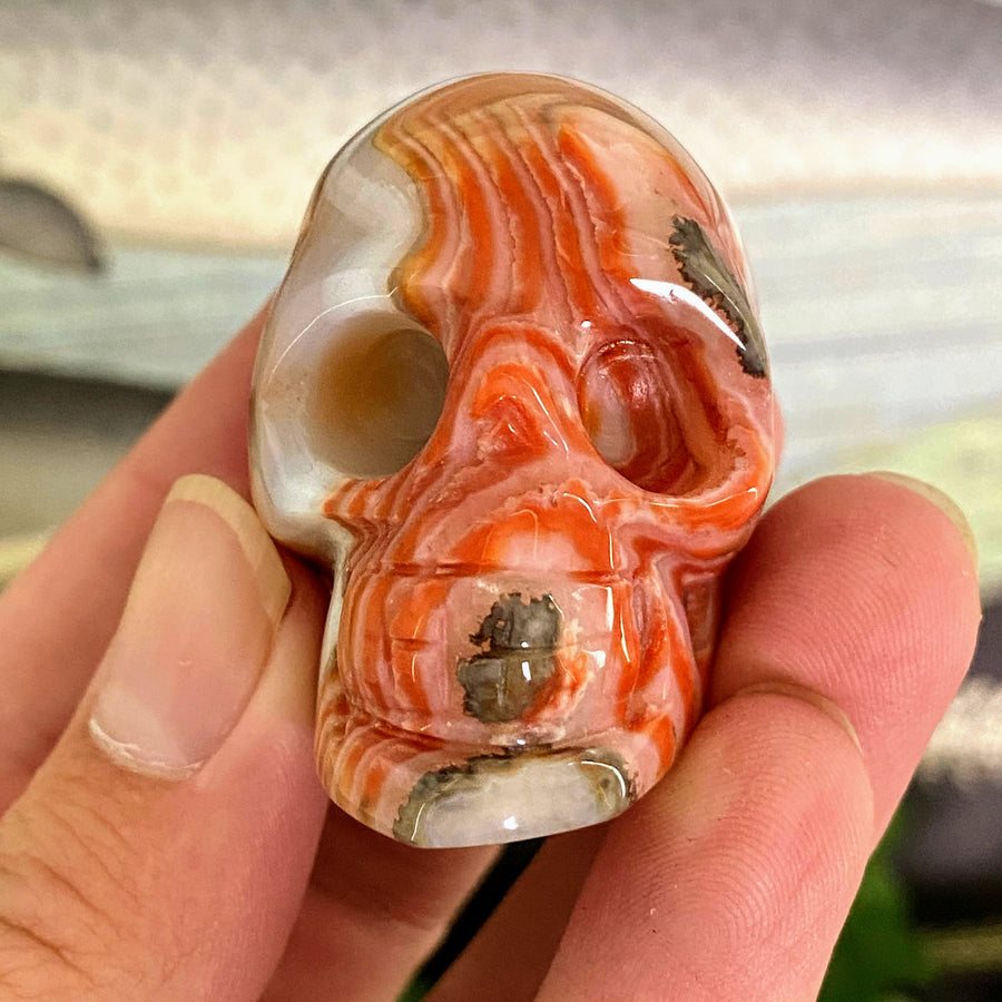 Carnelian Skull Carving from Madagascar