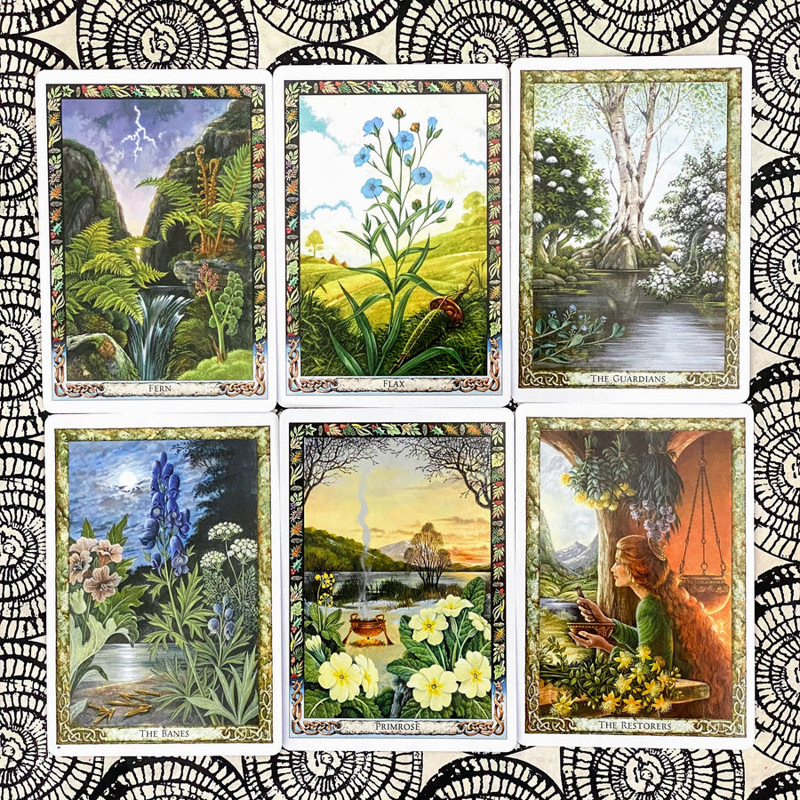 The Druid Plant Oracle Deck by Philip Carr-Gomm